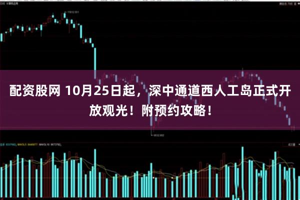 配资股网 10月25日起，深中通道西人工岛正式开放观光！附预约攻略！